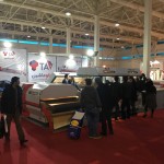 WoodexMedexIran2018 (15)