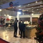 WoodexMedexIran2018 (9)