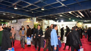 Woodex Medex Iran